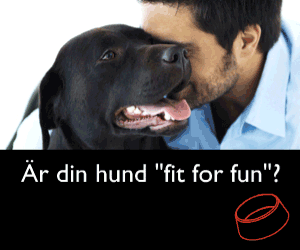 olivers.dk